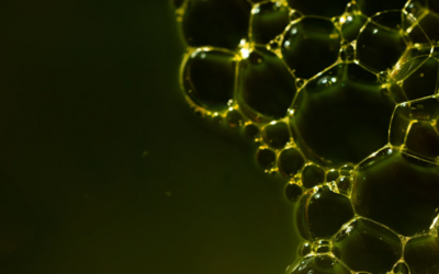 Hydrogen for European Industry: From Technical Readiness to Market Reality